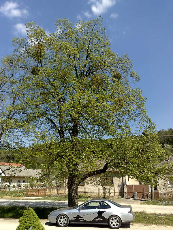 P3.jpg