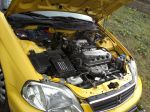New_29102011371.jpg