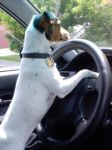 1998 Honda Civic