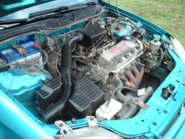 DSC00072.JPG