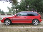 civic 1.jpg