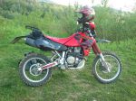 2003 Honda