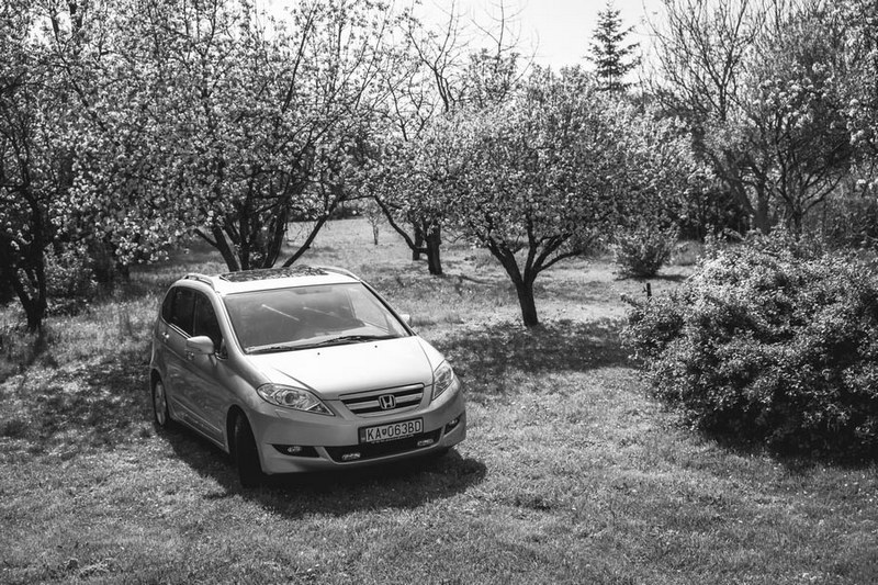 Honda FR-V.jpg