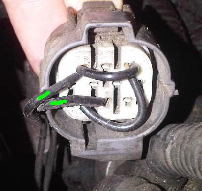 wire.JPG