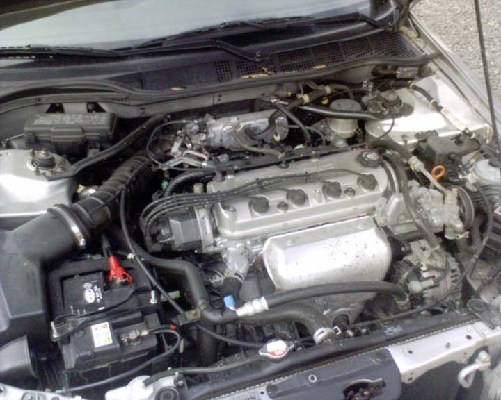 motor.jpg