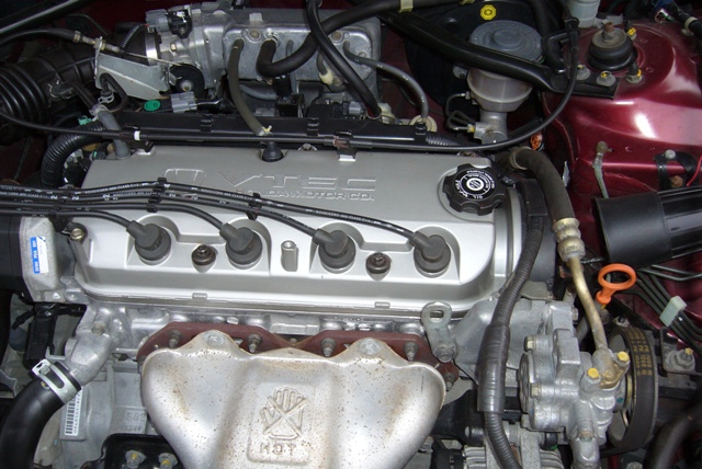 P1010484resize.JPG